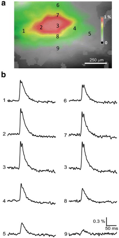 Fig. 3