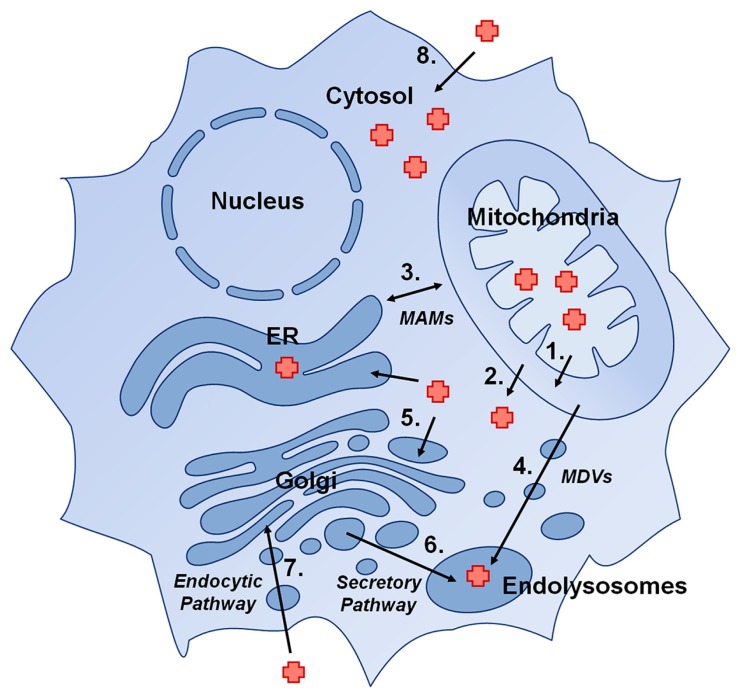 FIGURE 1