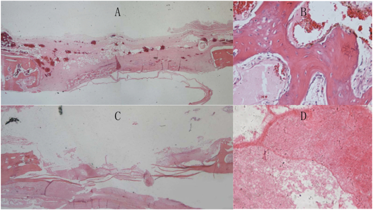 Fig. 8