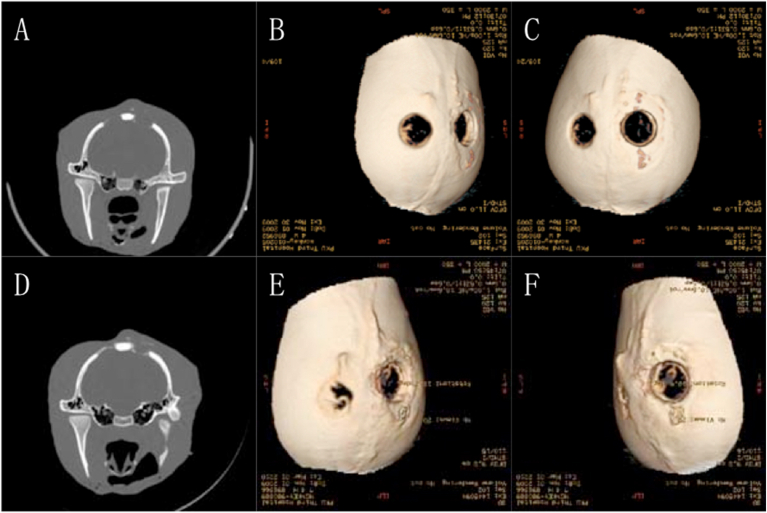 Fig. 7