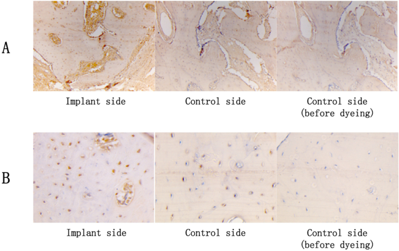 Fig. 6