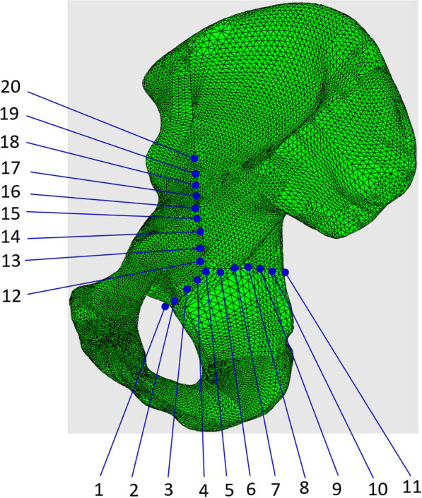 Fig. 6