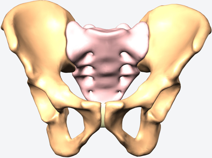 Fig. 1