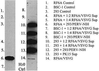 FIG. 5.