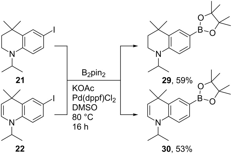 Scheme 10