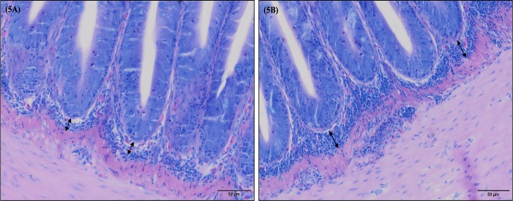 Fig 5