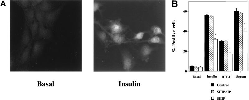 FIG. 10