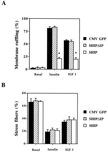 FIG. 8