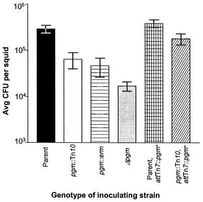 FIG. 2.