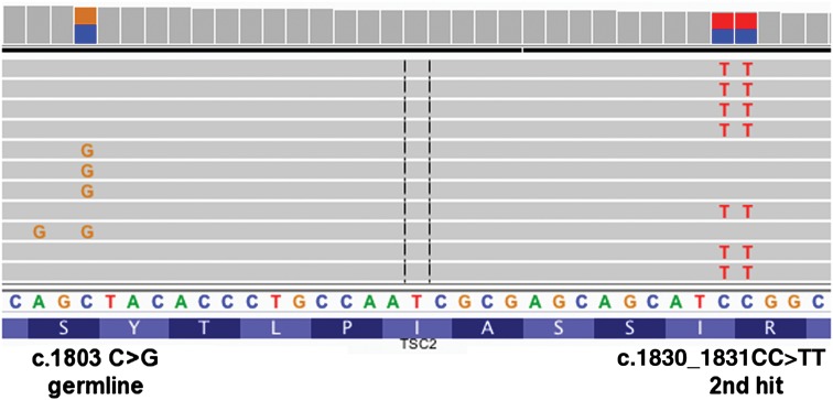 Figure 2.