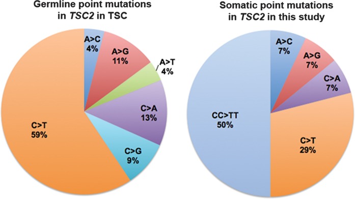 Figure 3.