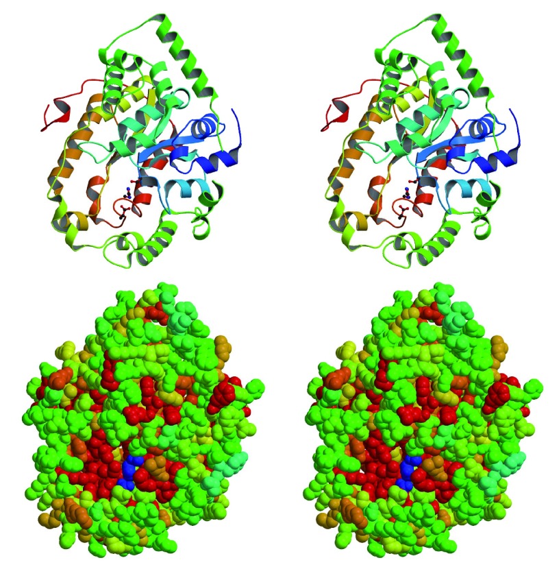 Figure 11. 