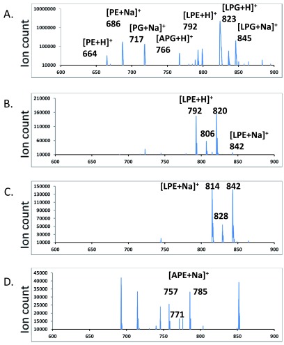 Figure 4. 