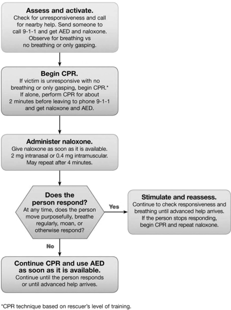 FIGURE 1