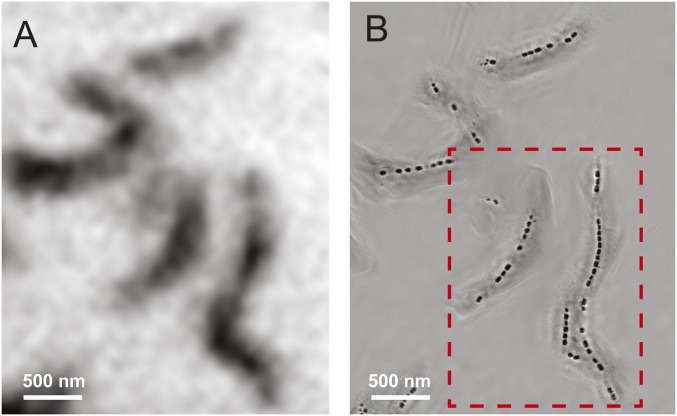 Fig. 2.