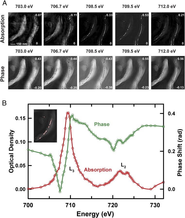 Fig. 3.