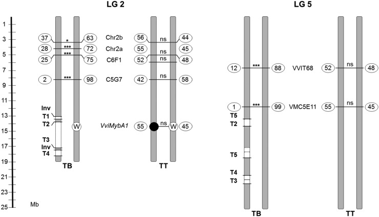 Figure 7.