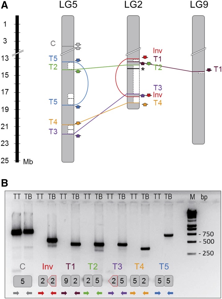 Figure 4.