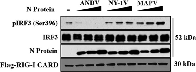 FIG 2