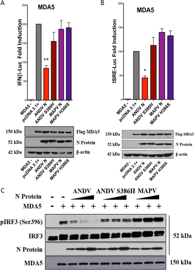 FIG 6