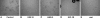 Fig. 4A–E
