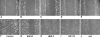 Fig. 2A–J