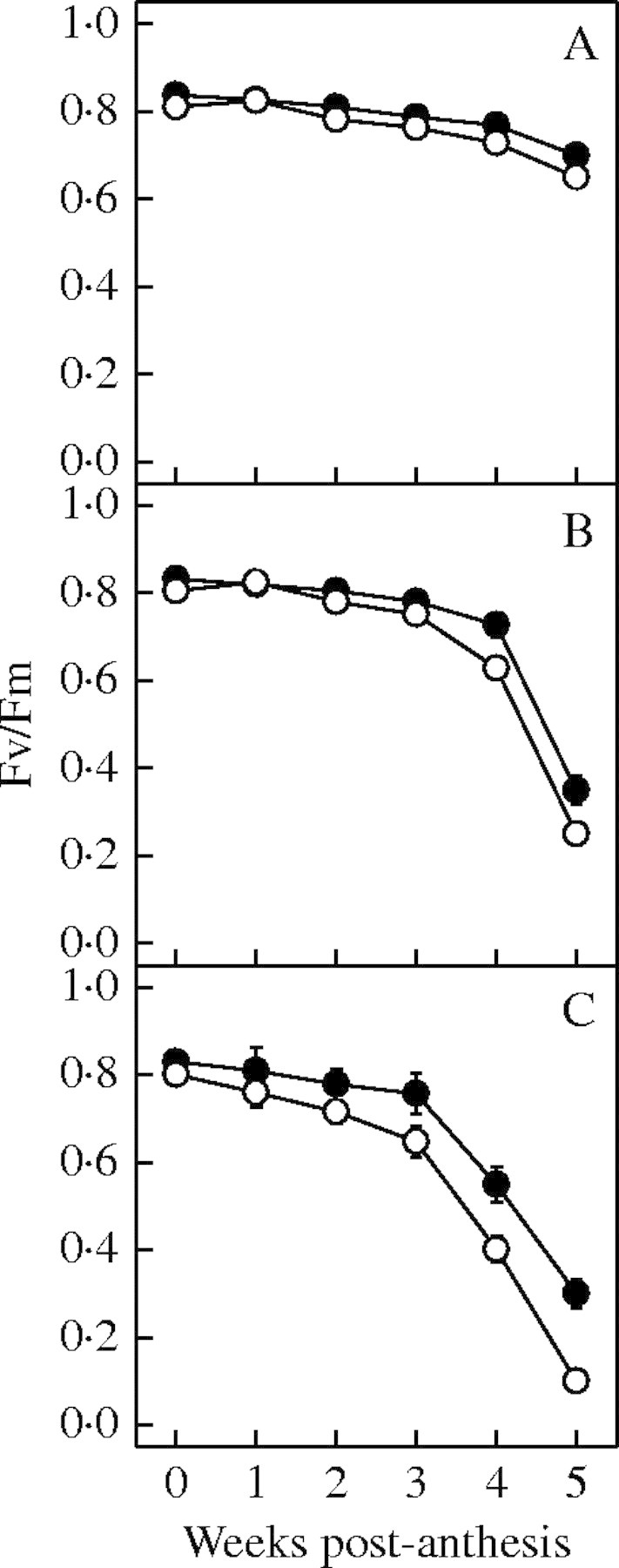 Fig. 7.