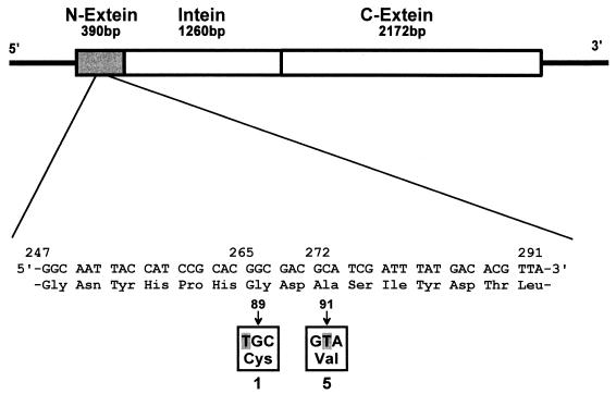 FIG. 3