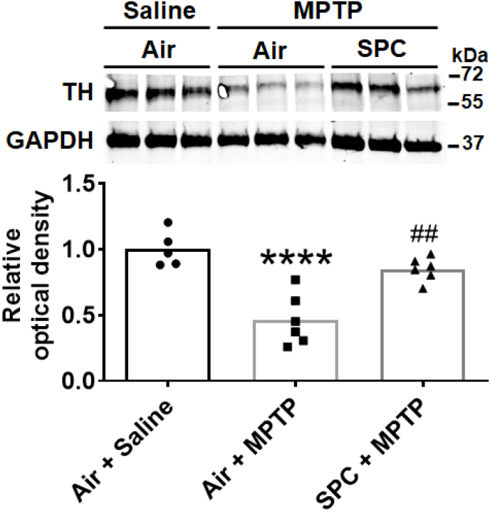 Fig. 3