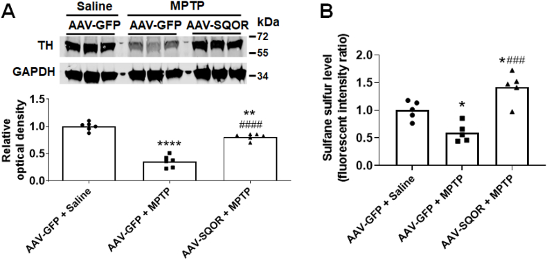 Fig. 10