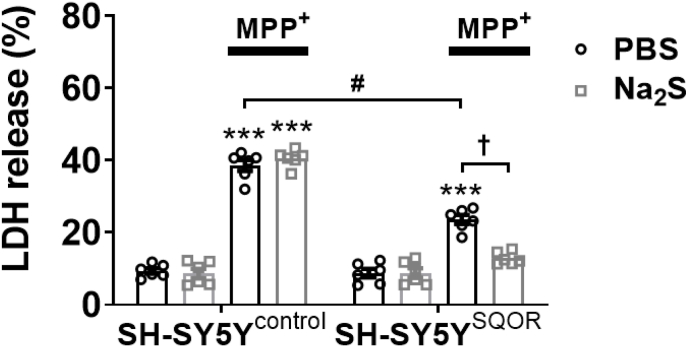 Fig. 11