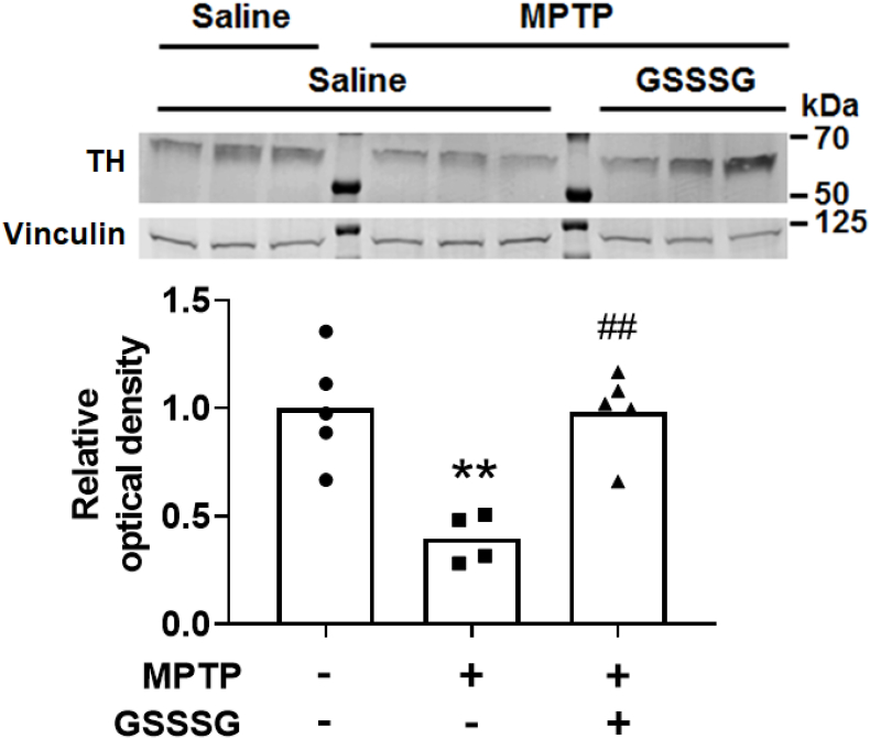 Fig. 14