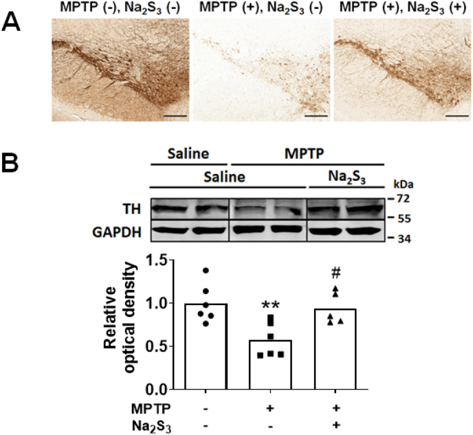 Fig. 13