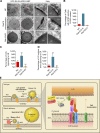 Figure 10.