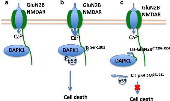 Fig. 3