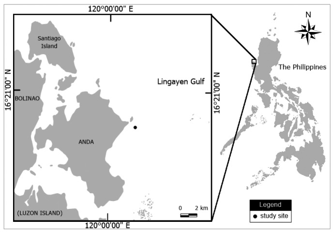 Fig. 1.