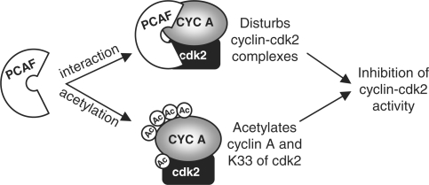 Figure 9.