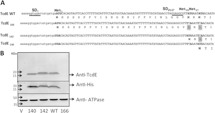 FIG 2