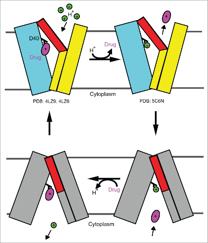 Figure 11.