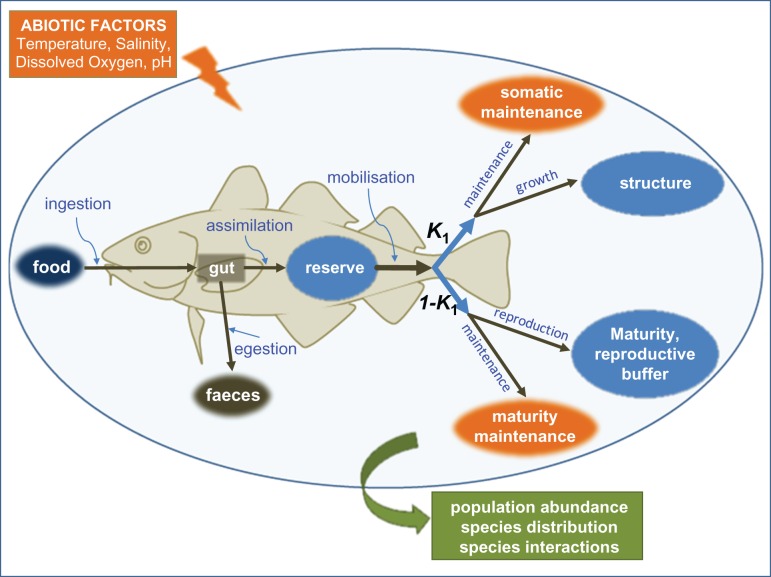 Figure 5: