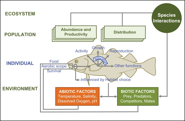 Figure 3: