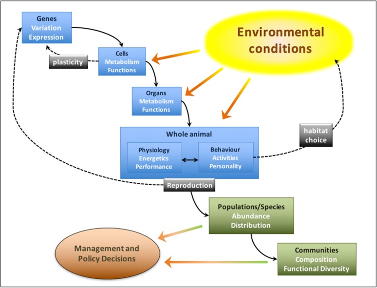 Figure 1: