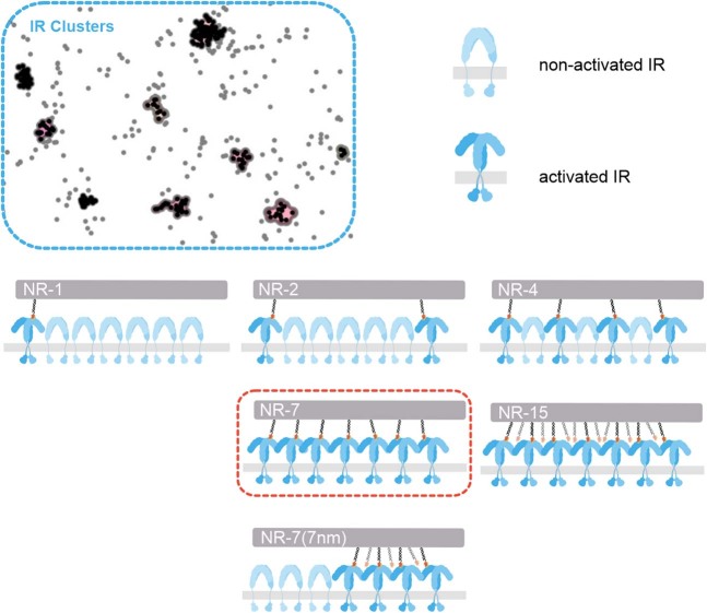 Extended Data Fig. 10