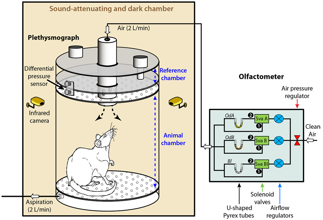 Fig. 3