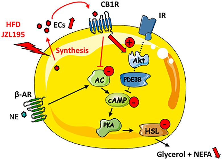 Figure 6