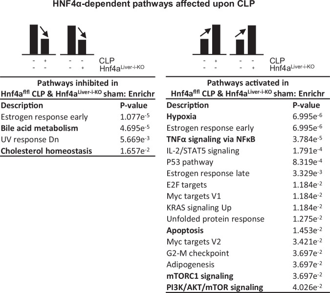Figure EV3