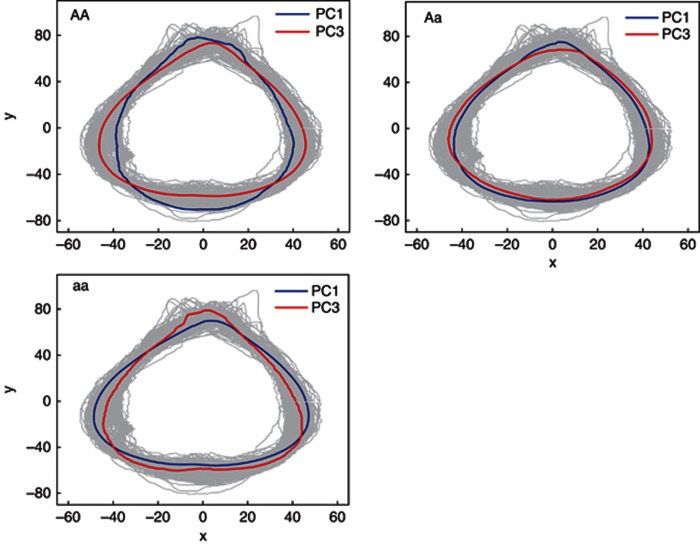 Figure 7