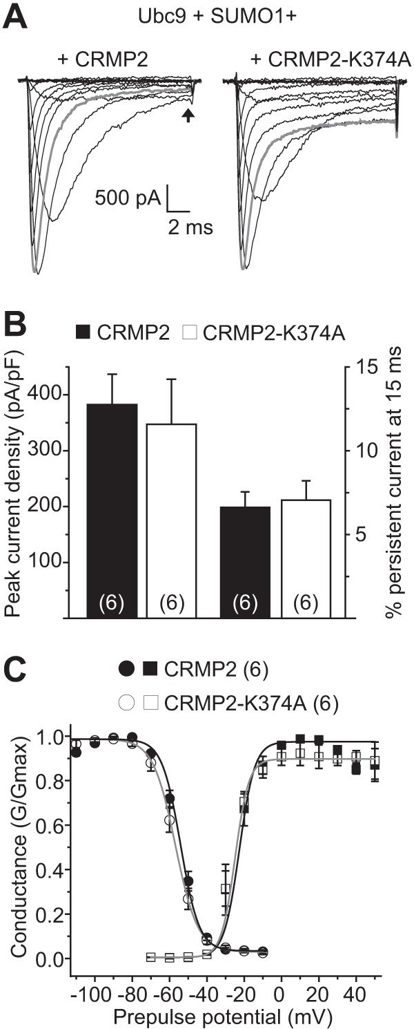 FIGURE 10.