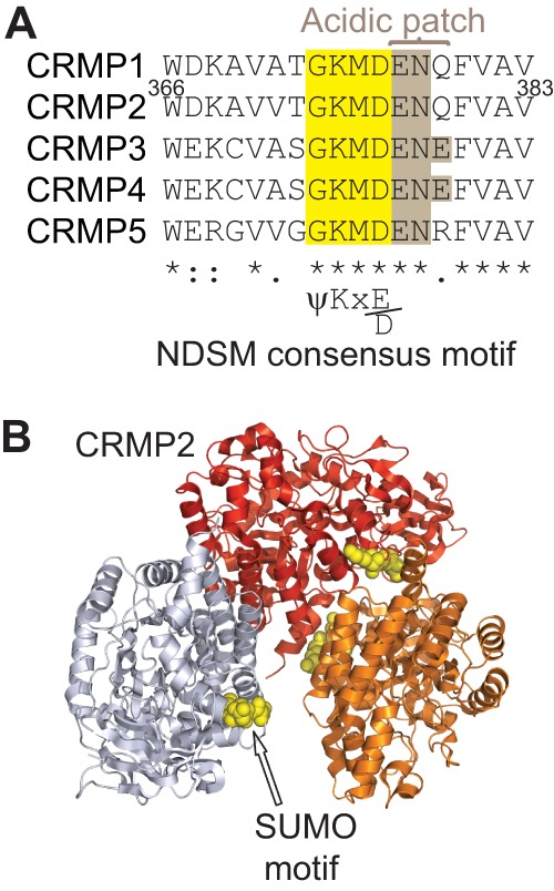 FIGURE 1.