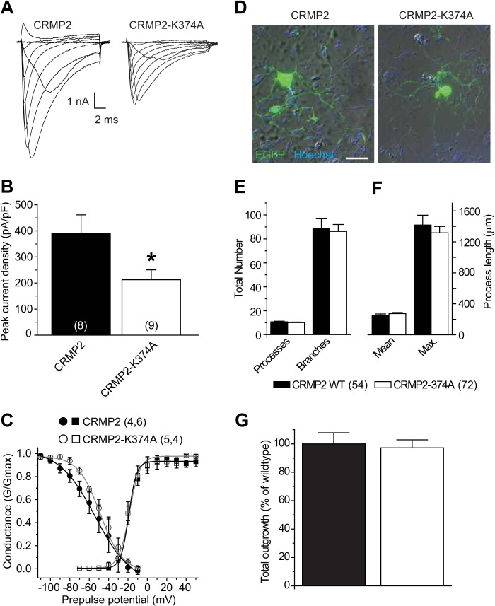 FIGURE 11.